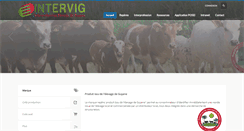 Desktop Screenshot of intervig.org
